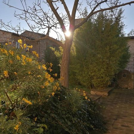 Assisi Hus Stanza Tripla In Appartamento Exterior photo