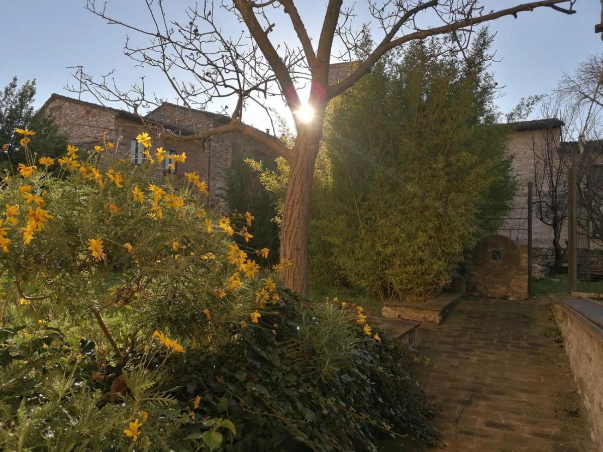 Assisi Hus Stanza Tripla In Appartamento Exterior photo